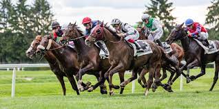Comment fonctionne une course hippique ?